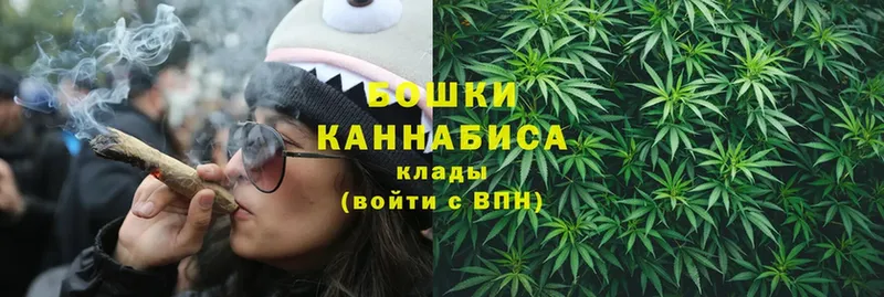 как найти наркотики  Козьмодемьянск  Бошки марихуана конопля 